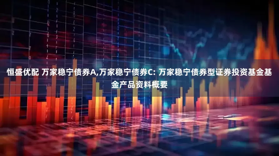 恒盛优配 万家稳宁债券A,万家稳宁债券C: 万家稳宁债券型证券投资基金基金产品资料概要