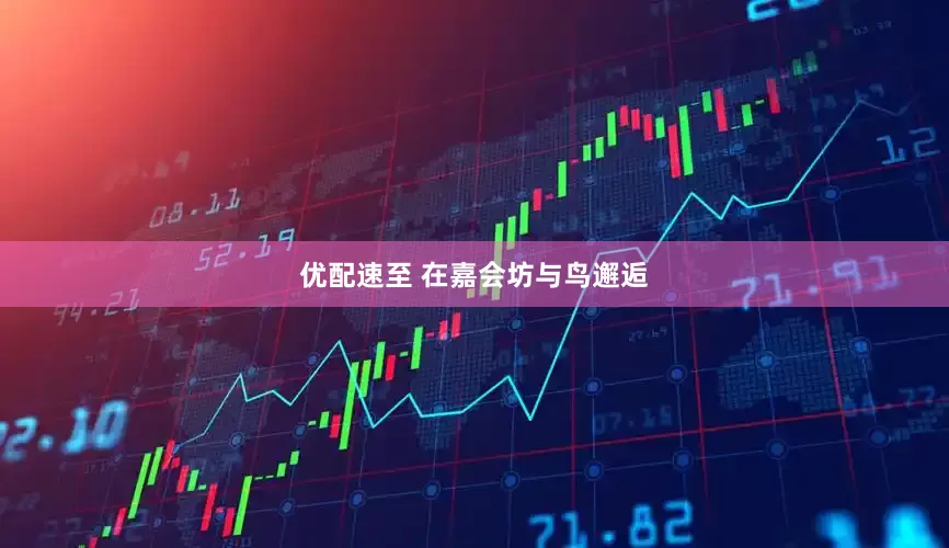 优配速至 在嘉会坊与鸟邂逅