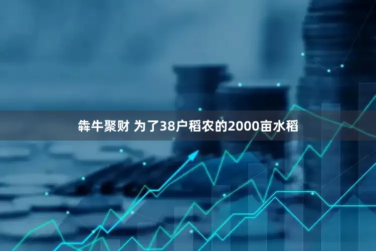 犇牛聚财 为了38户稻农的2000亩水稻
