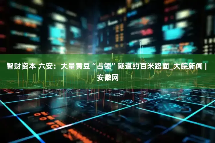 智财资本 ﻿六安：大量黄豆“占领”隧道约百米路面_大皖新闻 | 安徽网